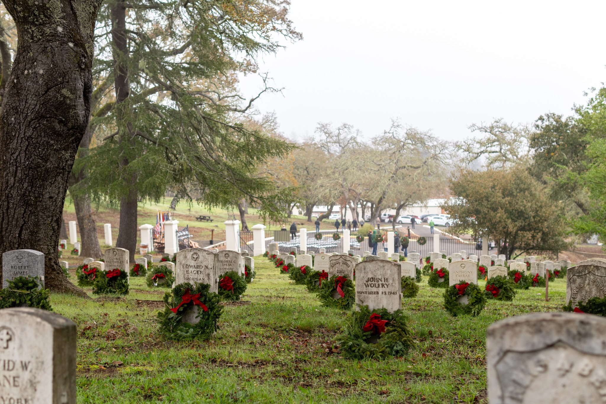 Wreath - Decemeber 13 2025 - 3