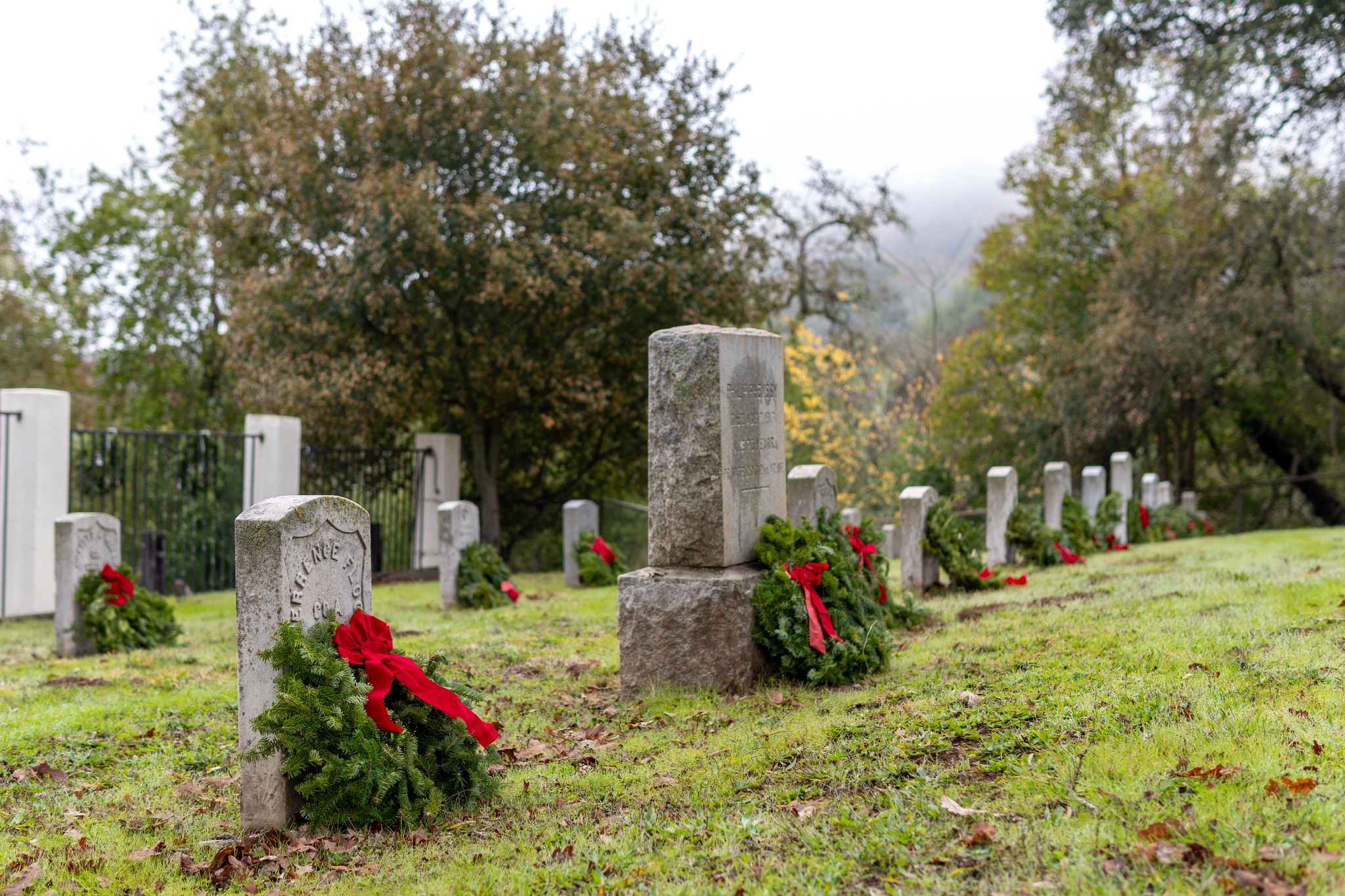 Wreath - Decemeber 13 2025 - 5